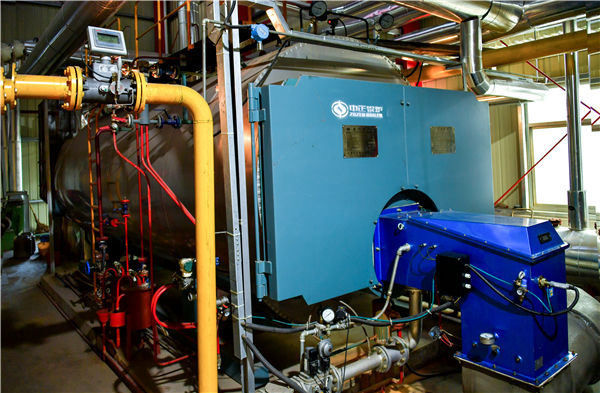 中國鍋爐設(shè)備龍頭