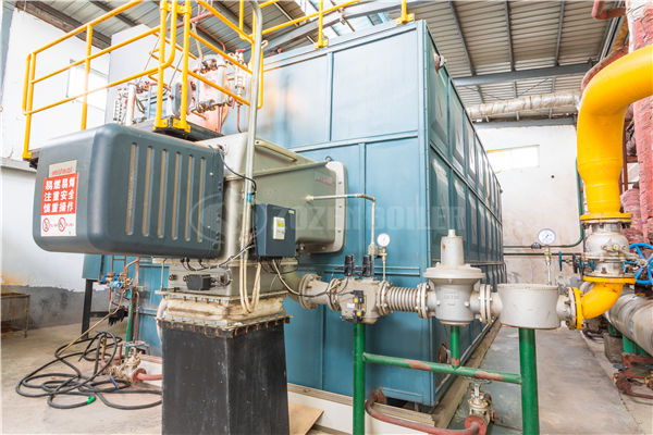 一噸的燃?xì)庹羝仩t配合洗滌設(shè)備用