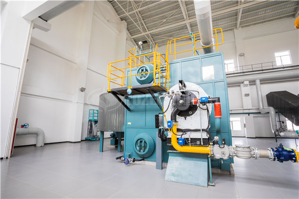 2t/h生物質(zhì)鍋爐設(shè)備參數(shù)