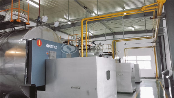 天然氣加溫鍋爐價(jià)格