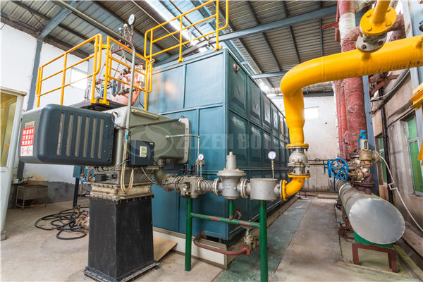 燃?xì)庹羝仩t wns10-1.0-Q 多少錢一臺