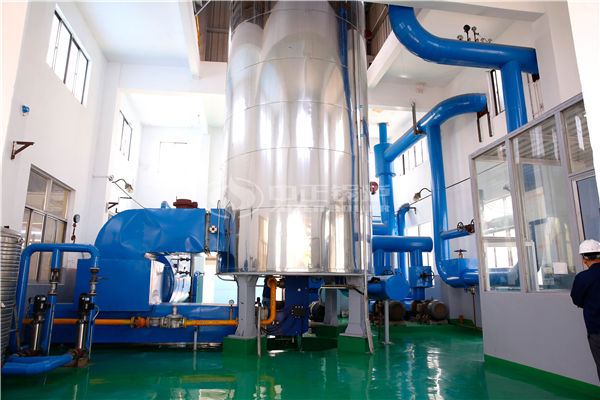  藥廠需要哪種3噸燃?xì)庹羝仩t