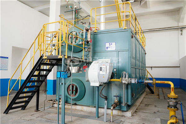 幾噸到十幾噸的承壓燃?xì)忮仩t廠家型號