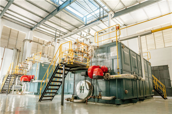 3t天然氣蒸汽鍋爐