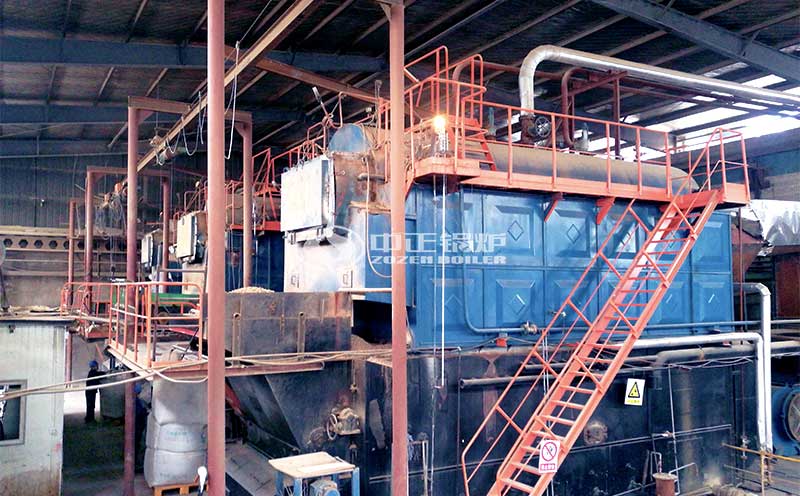 哈爾濱生物質(zhì)蒸汽鍋爐廠家實(shí)拍