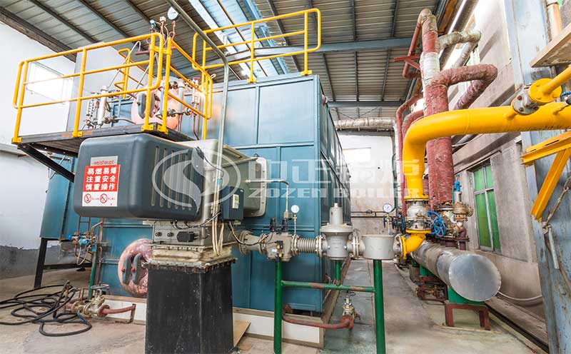 4噸天然氣鍋爐客戶案例圖片