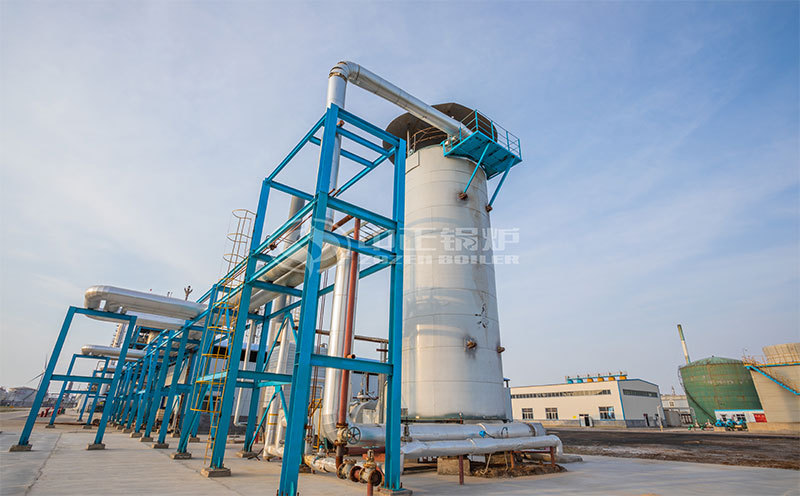 沼氣鍋爐價(jià)格客戶案例圖片