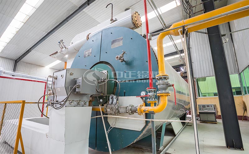 100噸燃?xì)忮仩t價(jià)格客戶案例圖片