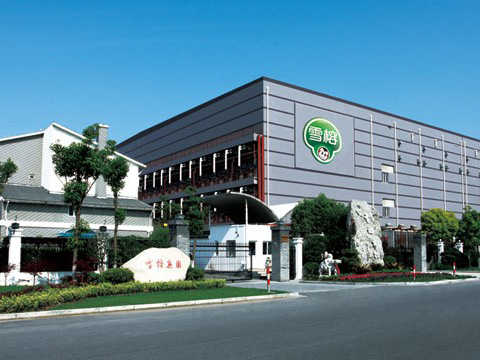 10噸、8噸 DZL 生物質(zhì)鍋爐