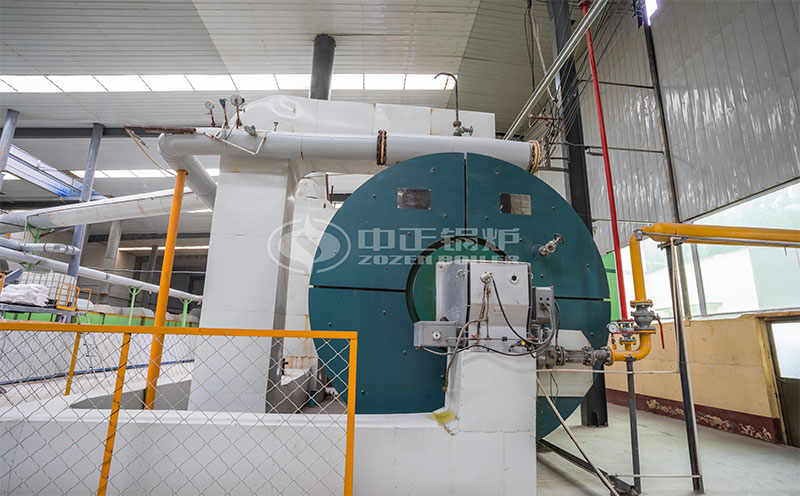 25噸燃?xì)忮仩t客戶案例圖片