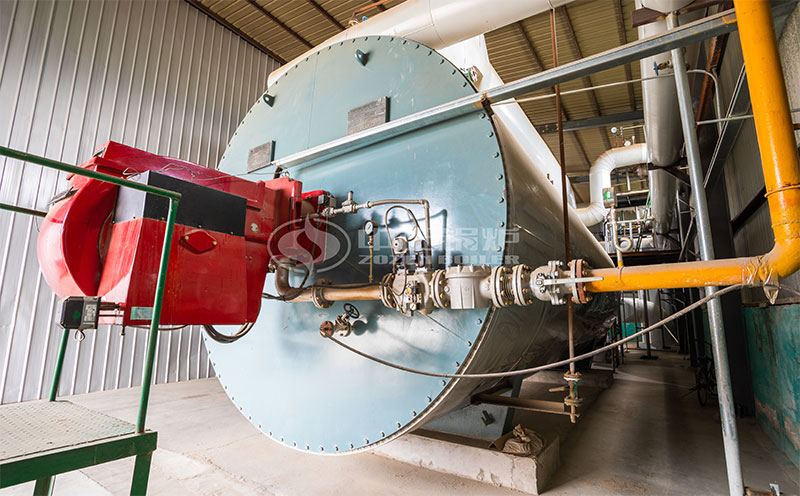 燃氣蒸汽鍋爐價格客戶案例圖片