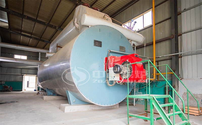 100噸燃?xì)忮仩t價(jià)格客戶案例圖片