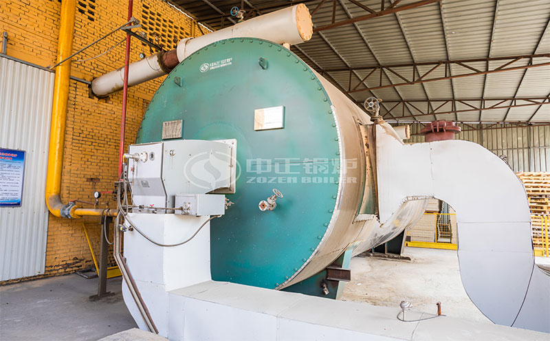 生物質燃料熱水鍋客戶案例圖片