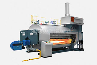 燃?xì)庹羝仩t廠家-10噸WNS系列冷凝式燃?xì)庹羝仩t