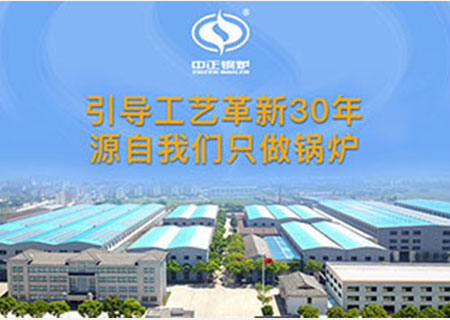 生產(chǎn)燃?xì)庹羝仩t廠家