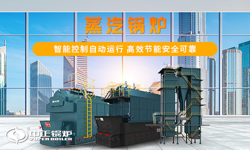 燃氣蒸汽鍋爐生產(chǎn)廠家