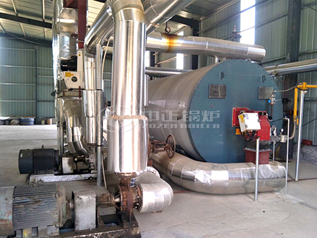 20噸燃?xì)庹羝仩t項(xiàng)目