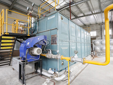 低排放綠色生物質(zhì)蒸汽鍋爐廠(chǎng)