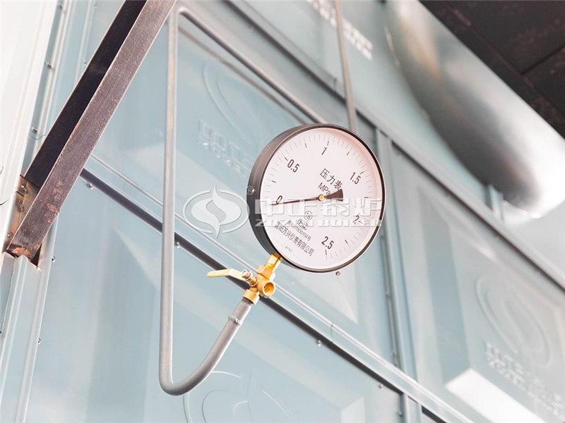 20T燃?xì)庹羝麪t整套價格