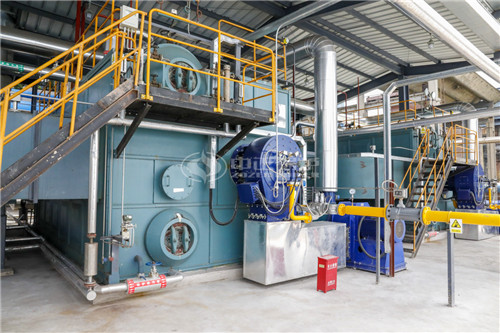 20噸燃?xì)庹羝仩t廠家