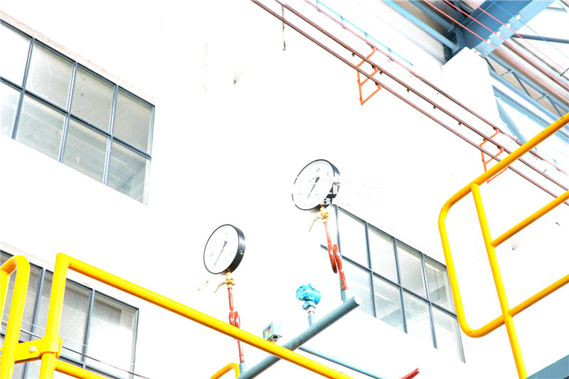 4噸燃?xì)庹羝仩t企業(yè)