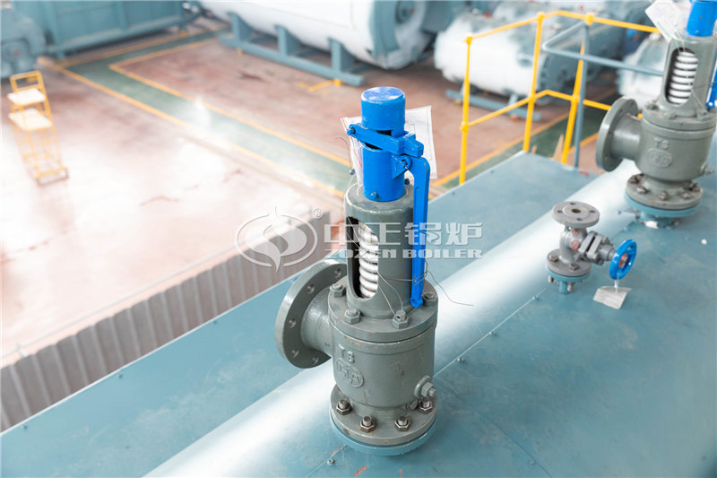 六噸燃?xì)庹羝仩t多貴