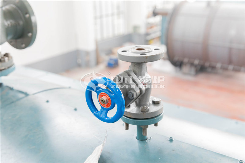 四噸燃?xì)庹羝仩t生產(chǎn)廠家