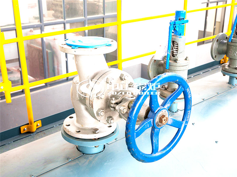 SZL燃?xì)庹羝仩t哪里有