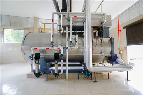 一臺(tái)100噸天然氣鍋爐多少錢(qián)能買(mǎi)到