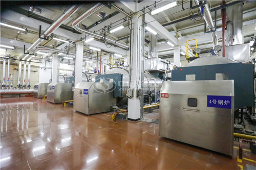 一臺(tái)二十噸燃?xì)庹羝仩t低多少錢