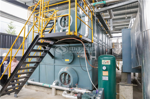 一臺(tái)十五噸天然氣鍋爐低多少錢(qián)