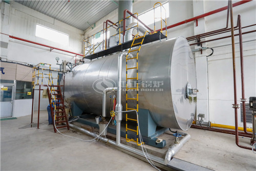 一臺30噸燃?xì)庹羝仩t貴嗎