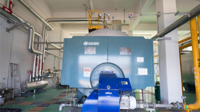 WNS6 -1.0-Q 燃?xì)庹羝仩t